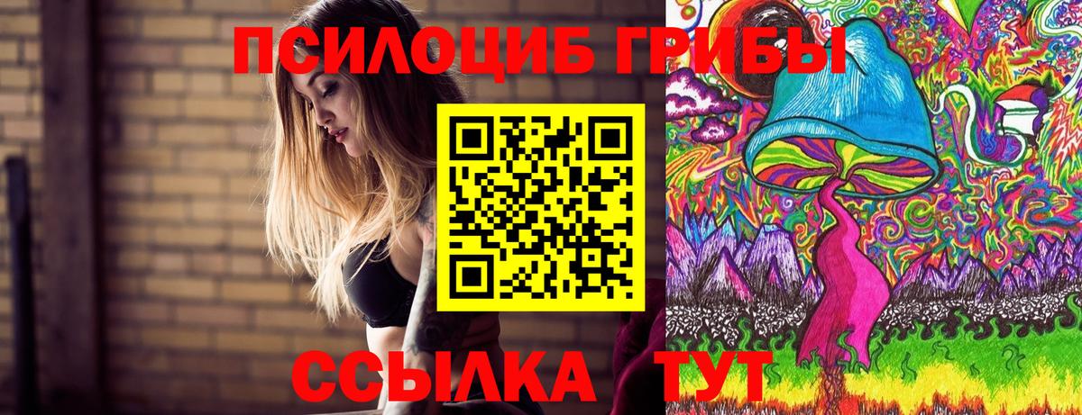 Псилоцибиновые грибы мухоморы Стрежевой